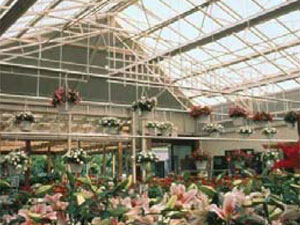 garden center